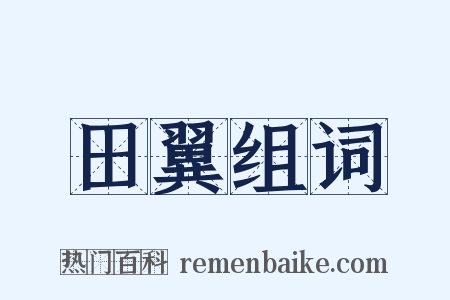 田翼组词是什么意思的图片